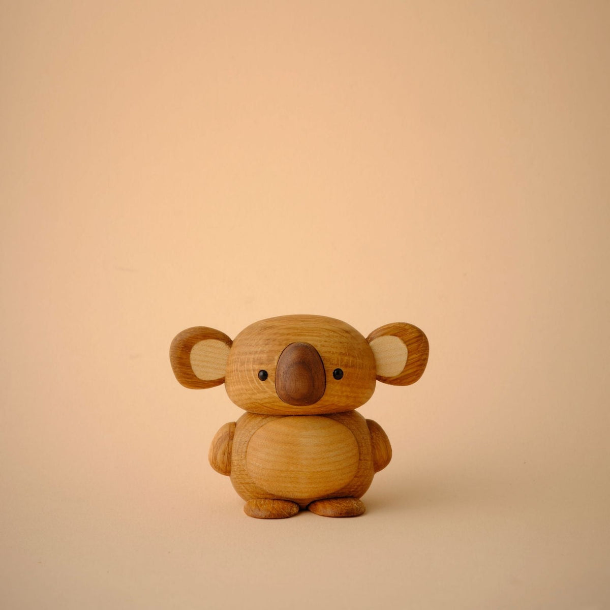 Kozi seul, montrant son ventre clair et ses oreilles rondes dans une lumière chaude.