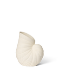 Vase Shell en forme de coquillage blanc cassé sur fond blanc