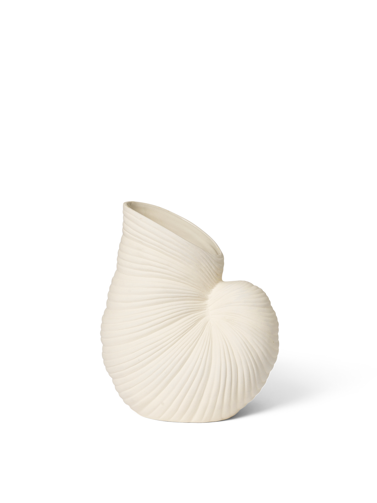 Vase Shell en forme de coquillage blanc cassé sur fond blanc