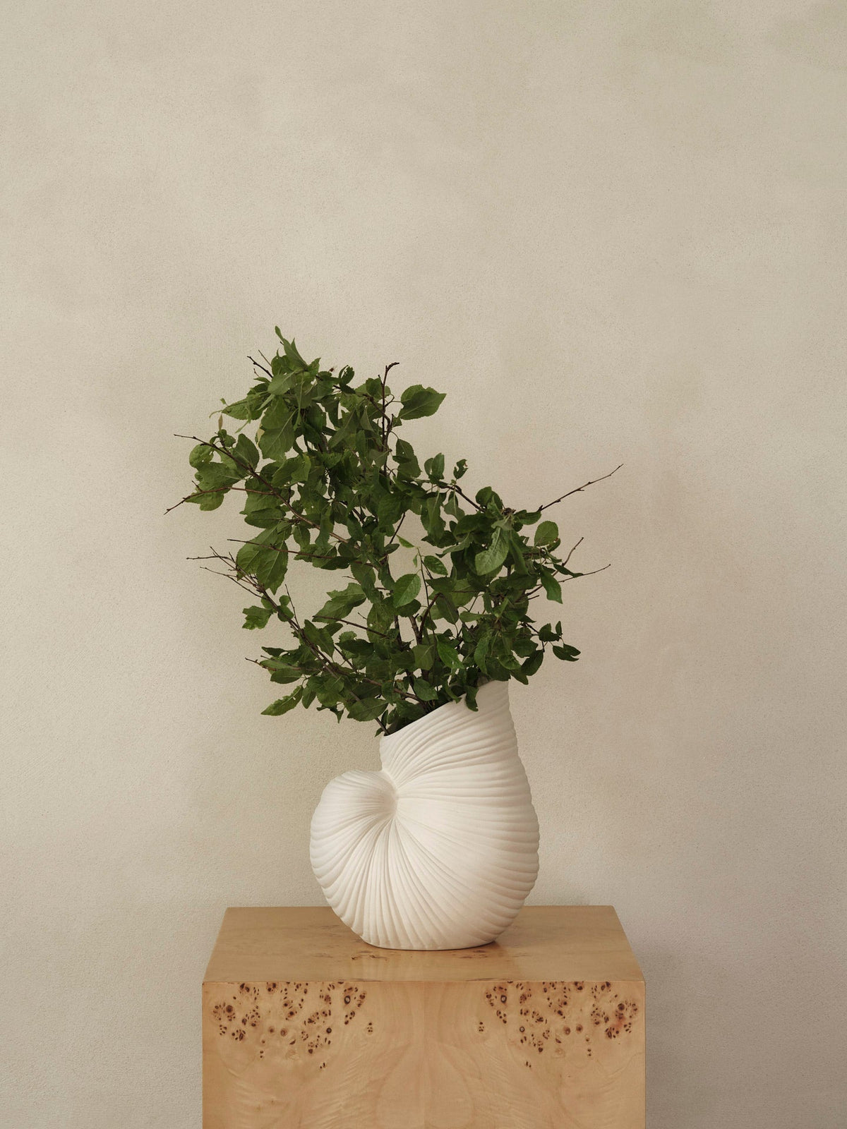 Vase Shell blanc cassé avec des branches feuillues sur un socle